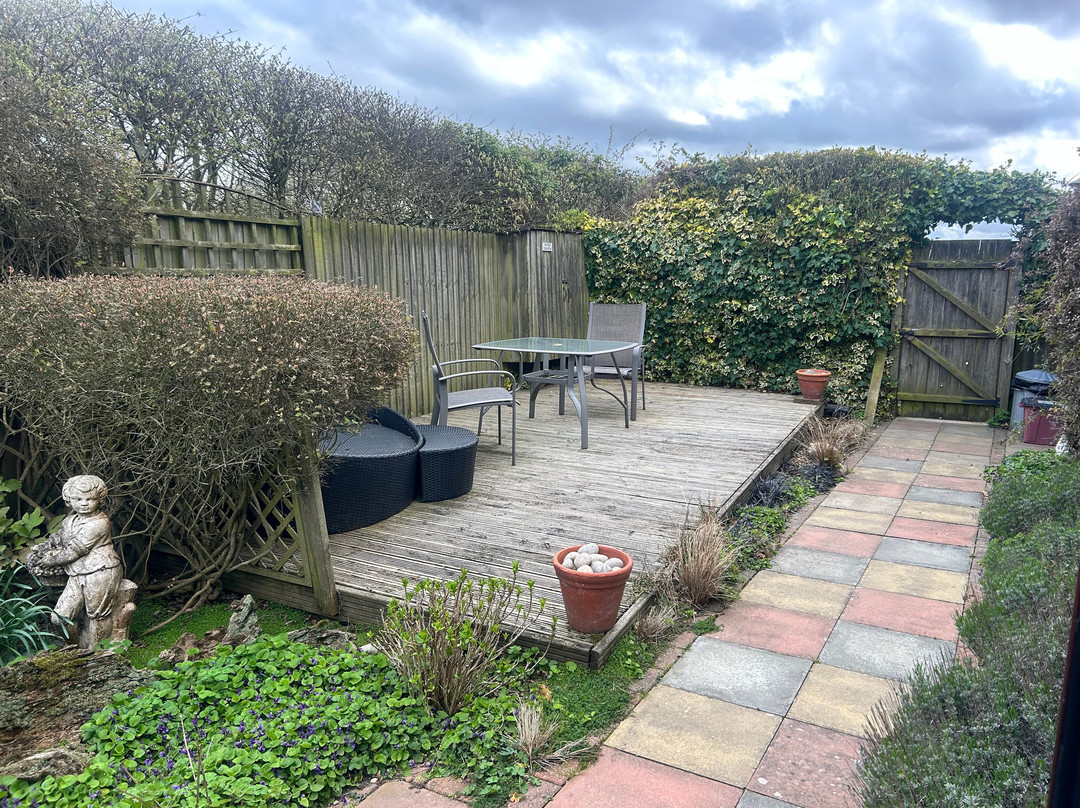 雉鸡乡村民宿主图