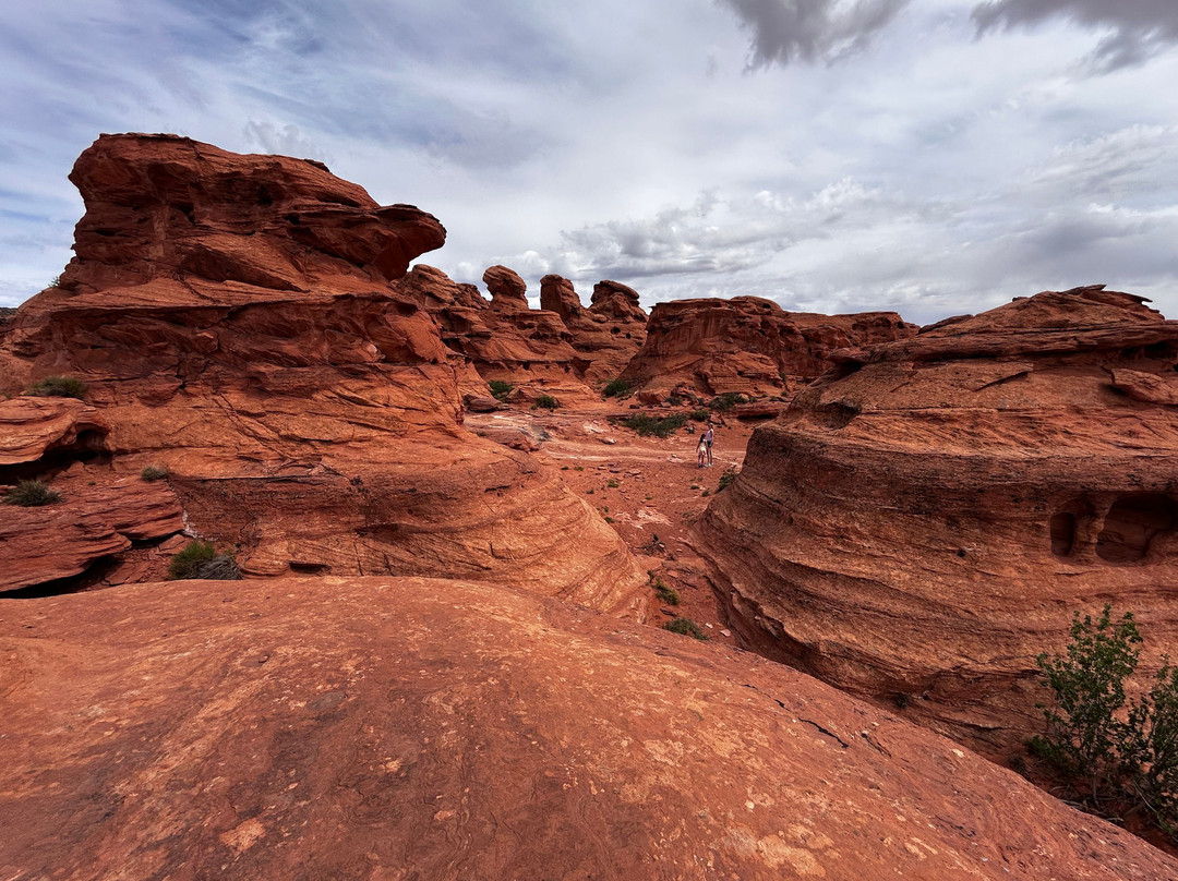 UTV Adventure Tours-Washington必去景点