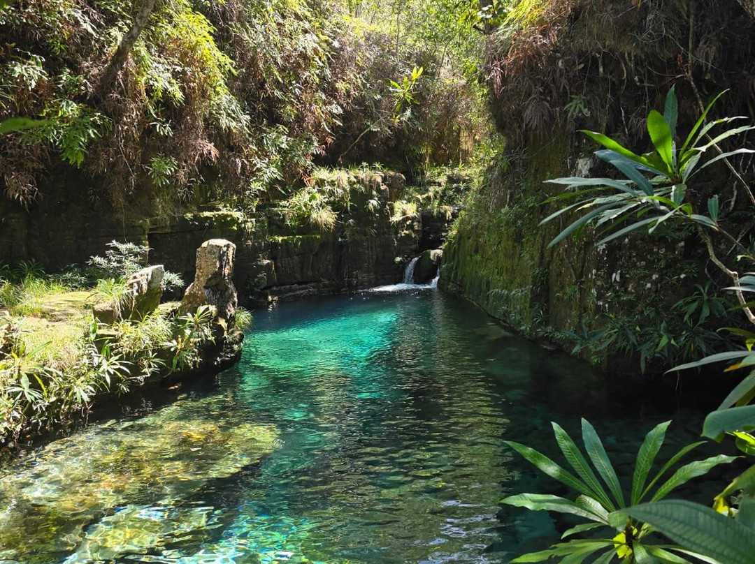 Serra do Roncador-Barra do Garcas必去景点