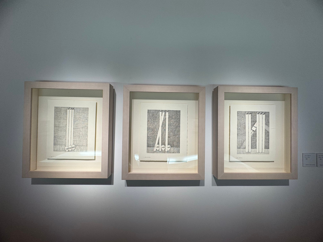 Fundación Cristino de Vera-Espacio Cultural CajaCanarias-拉古纳的圣克里斯托波尔城必去景点