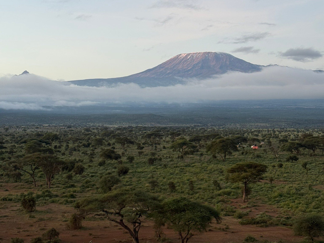 Kilimanjaro Balloon Safaris-安博塞利国家公园必去景点