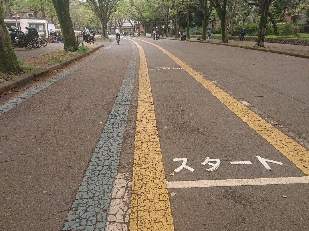 驹泽奥林匹克公园-世田谷区必去景点