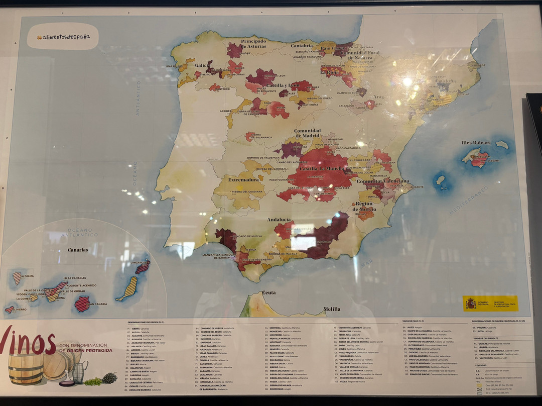 Mqm Museo Del Queso Manchego Toledo-托莱多必去景点