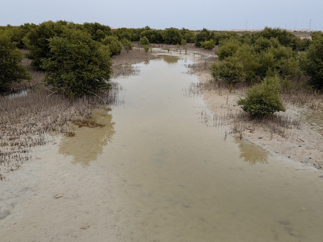 Purple Island - Al Khor Island-Al Khor必去景点