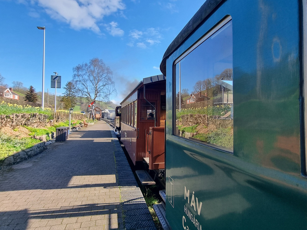 Welshpool and Llanfair Light Railway-Welshpool必去景点