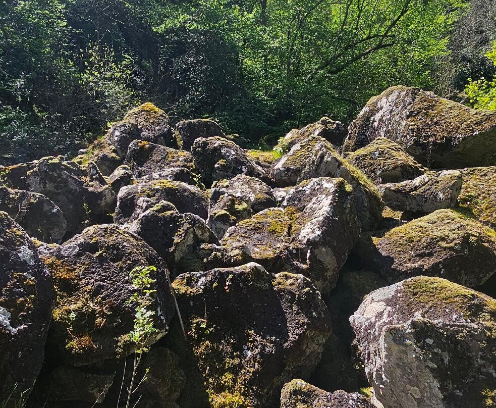 Bosco Del Sasseto-Acquapendente必去景点