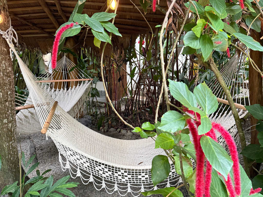 Conga Boutique Hotel主图