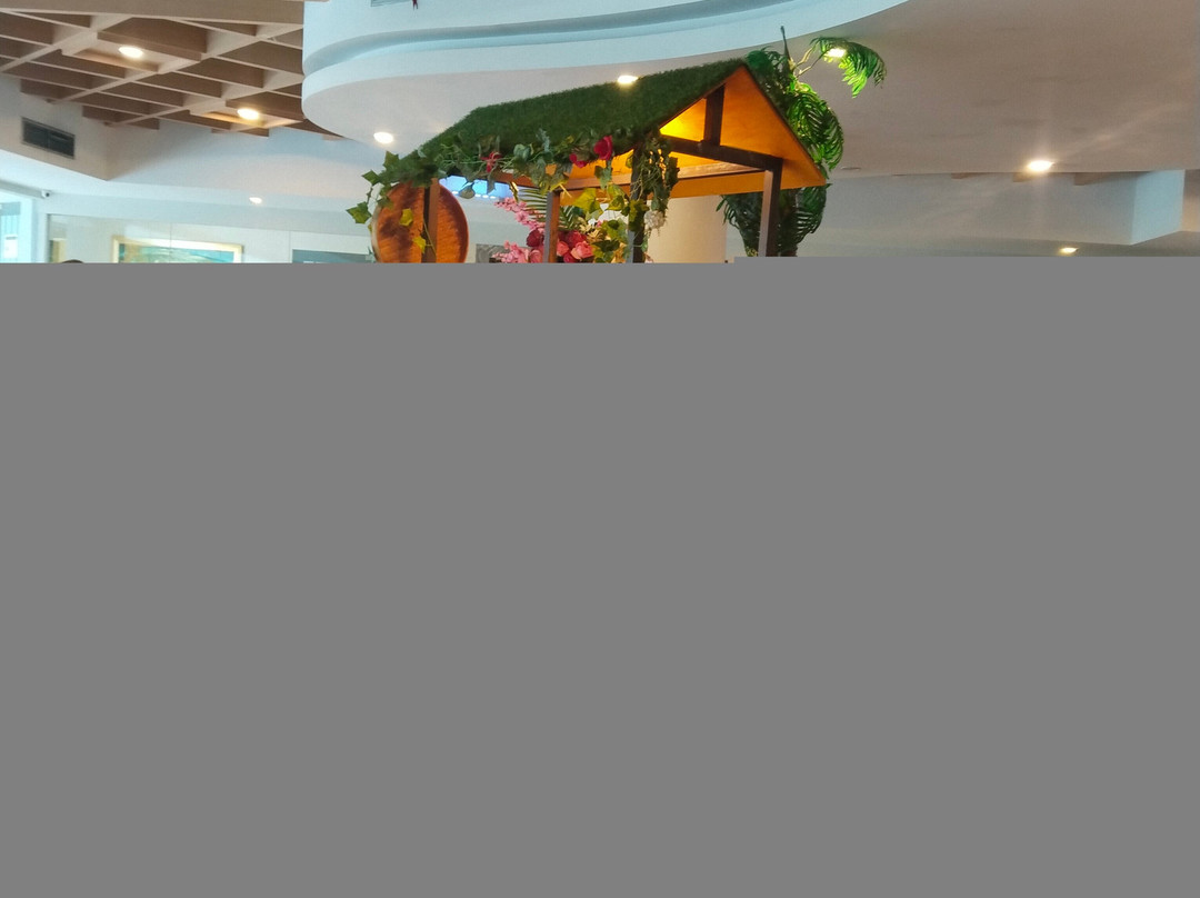 地平线考塔拉嘉帕普亚主图