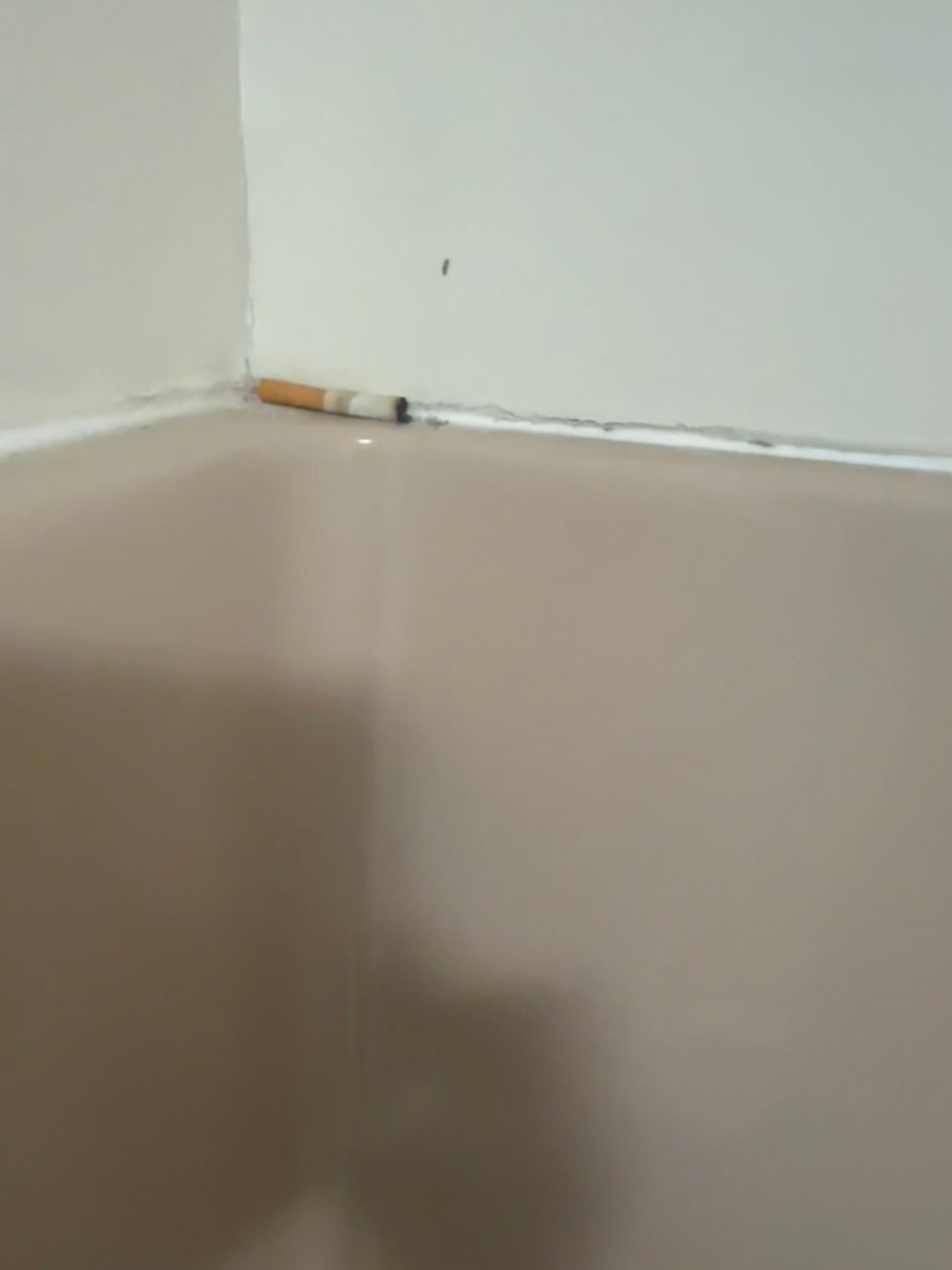 皮卡尤恩温德姆戴斯酒店-旅行者