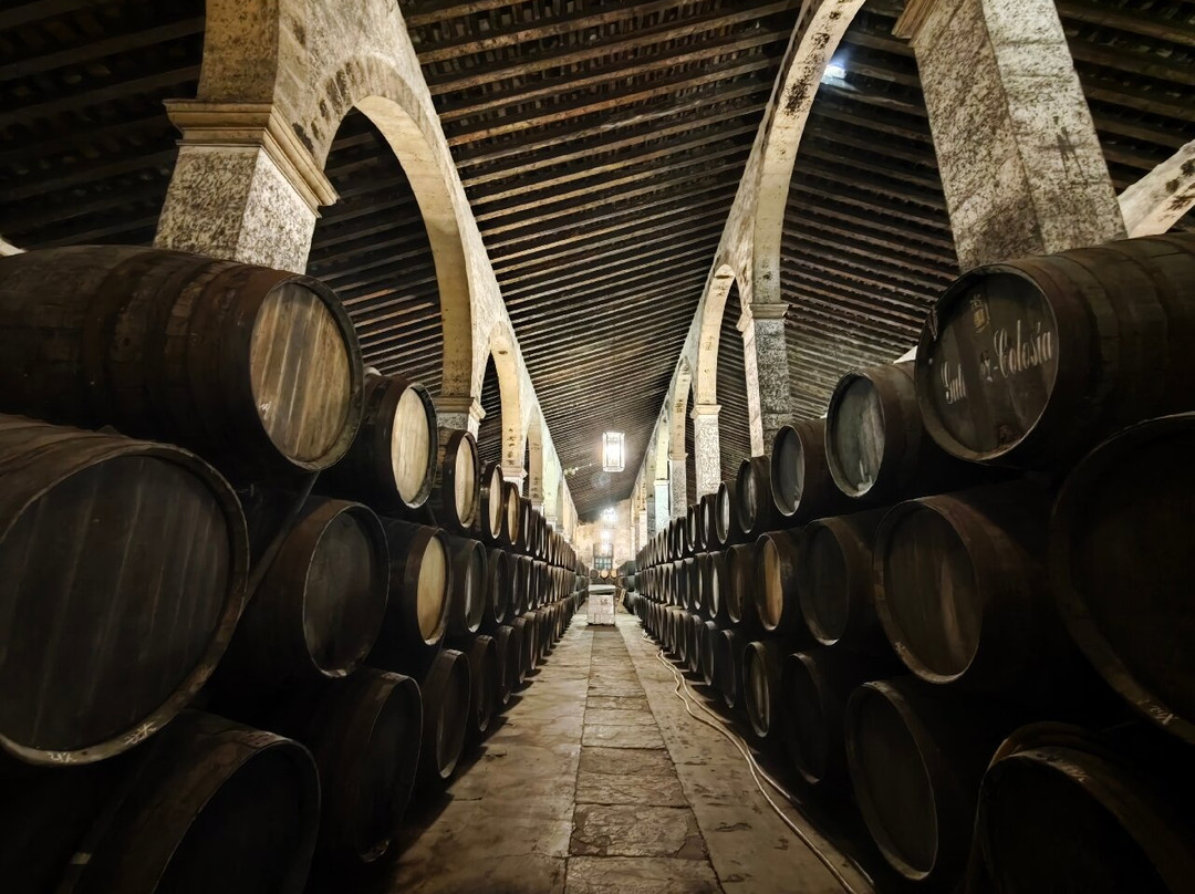 Bodegas Gutierrez Colosia-圣玛丽亚港必去景点