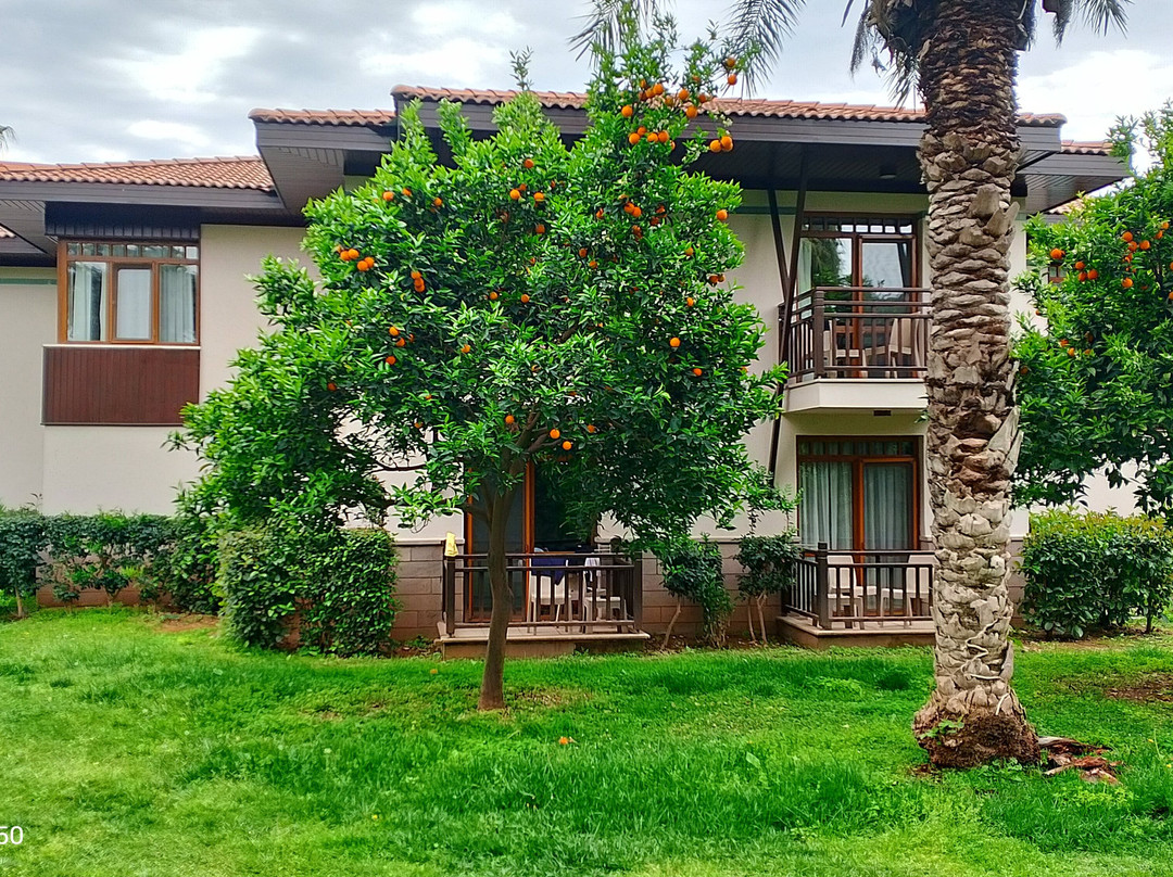 卡利梅拉塞拉皇宫俱乐部酒店主图