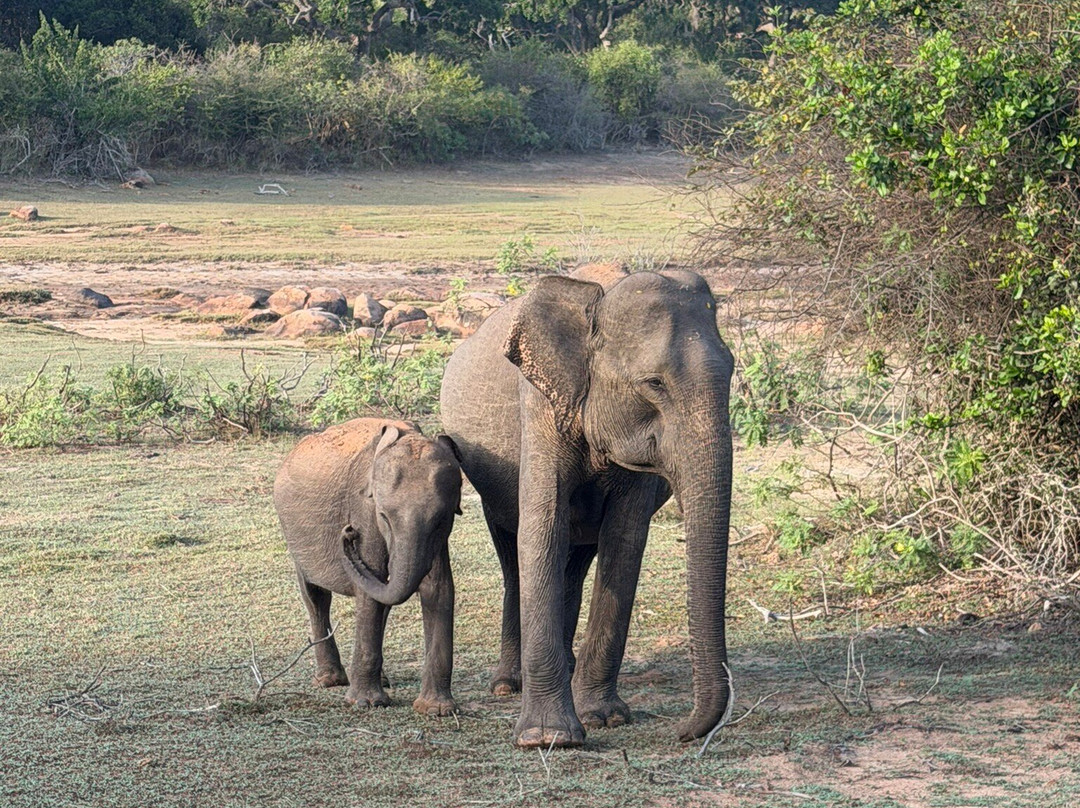 Amusing Lanka Tours-科斯戈德必去景点