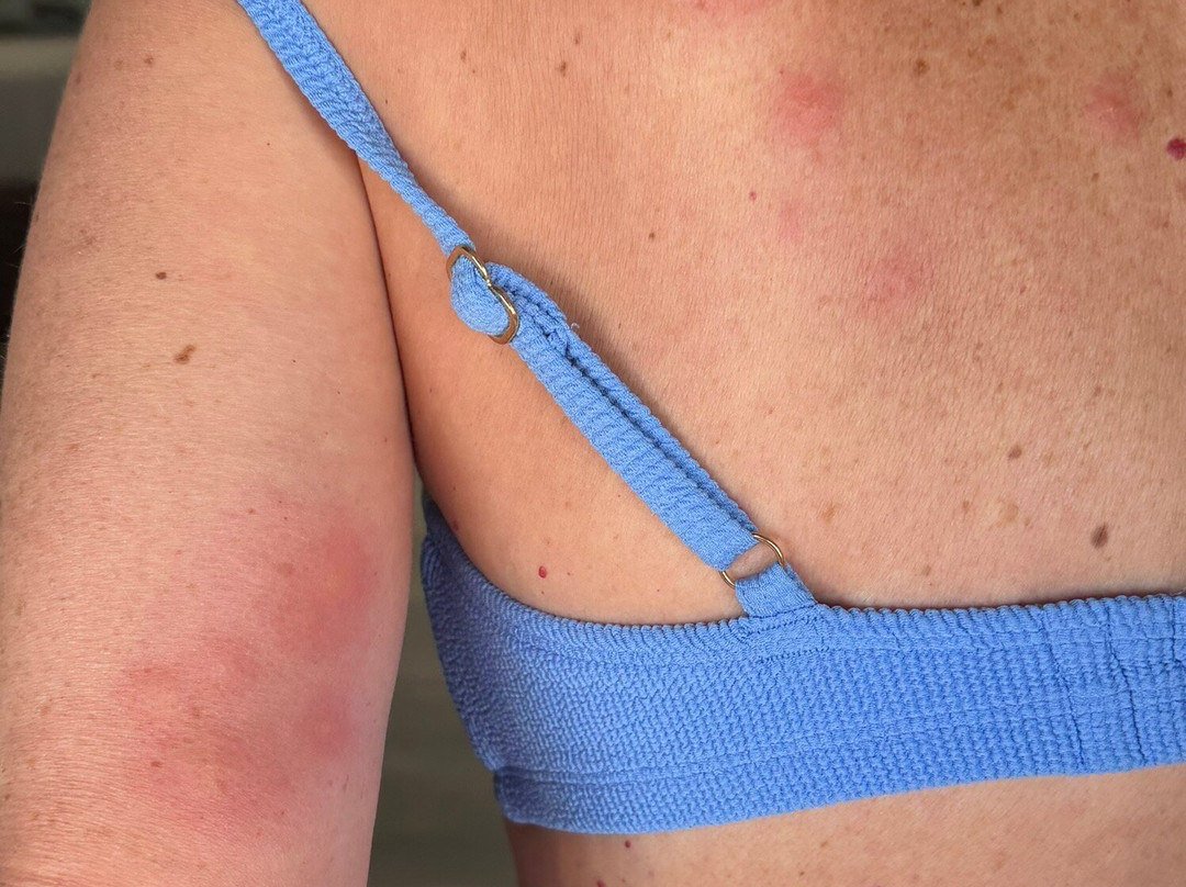 布里斯班北部舒适酒店主图