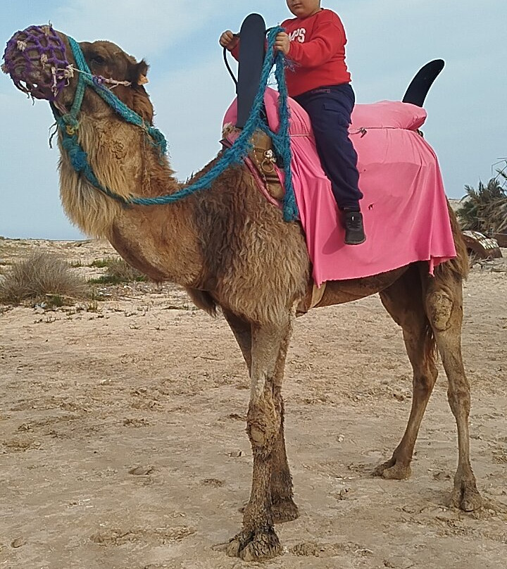 Ennakhil de tourisme Djerba-米栋必去景点