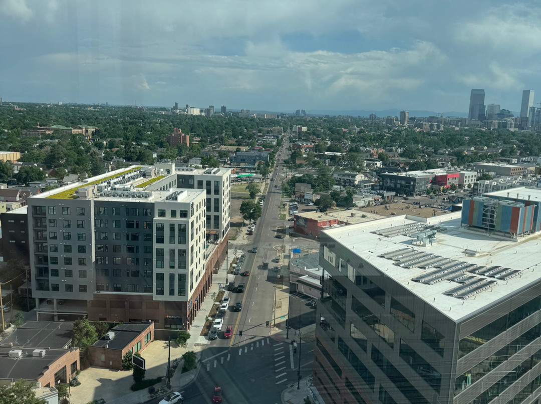 猫鸟酒店主图