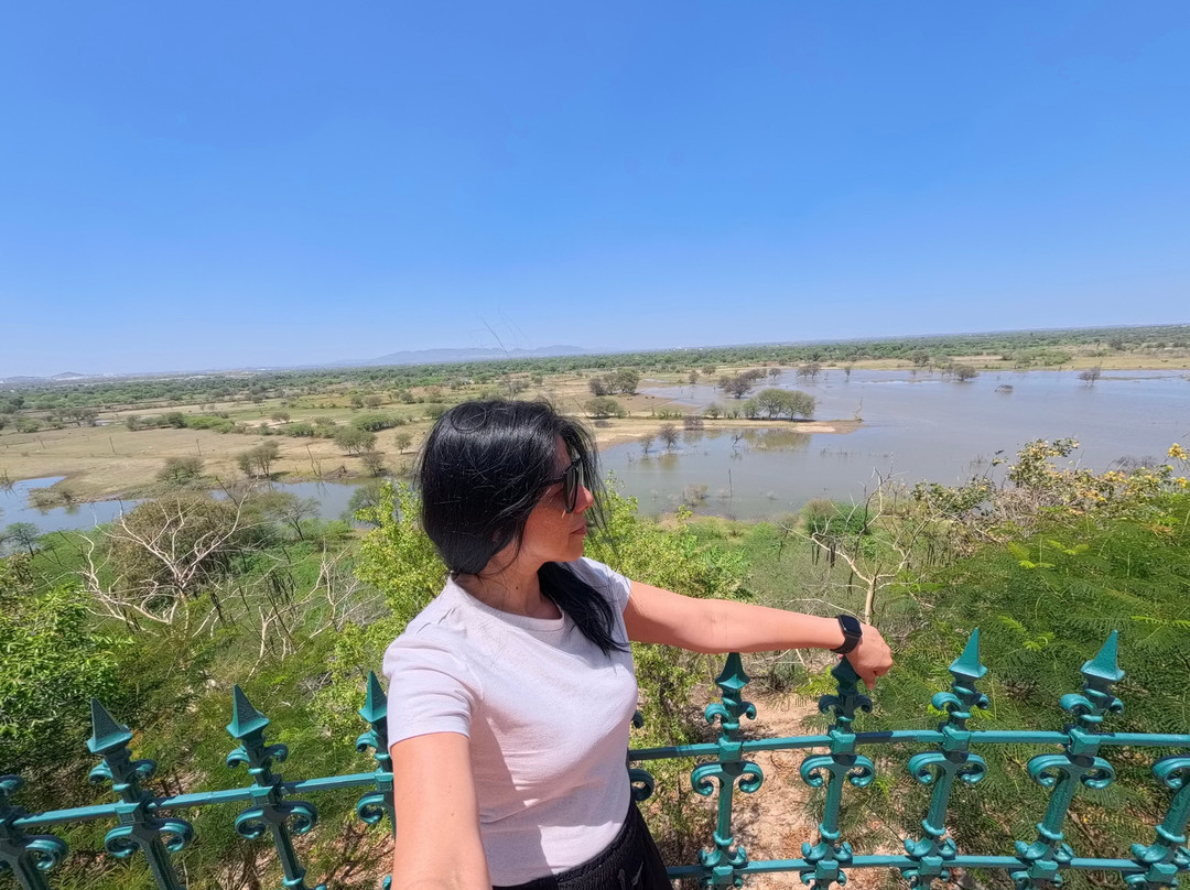 萨尔达尔加传统酒店主图