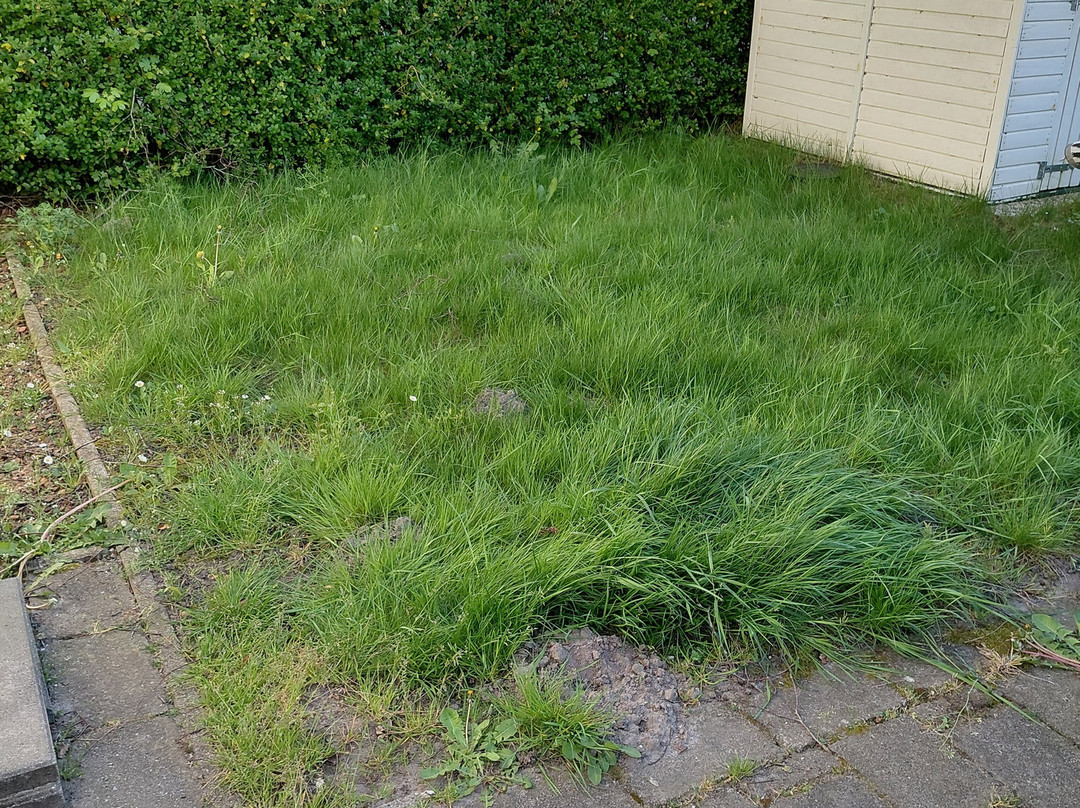 欧洲公园莫伦格鲁特主图