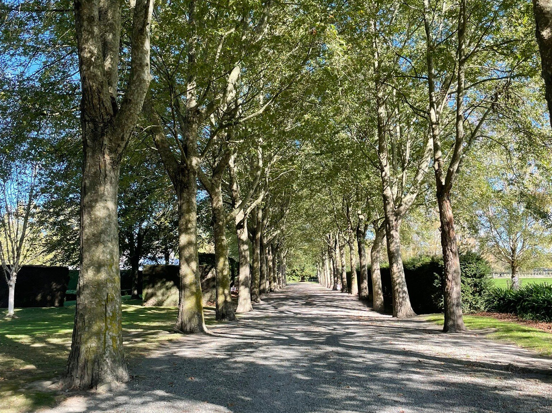 Trott's Garden-阿什伯顿必去景点