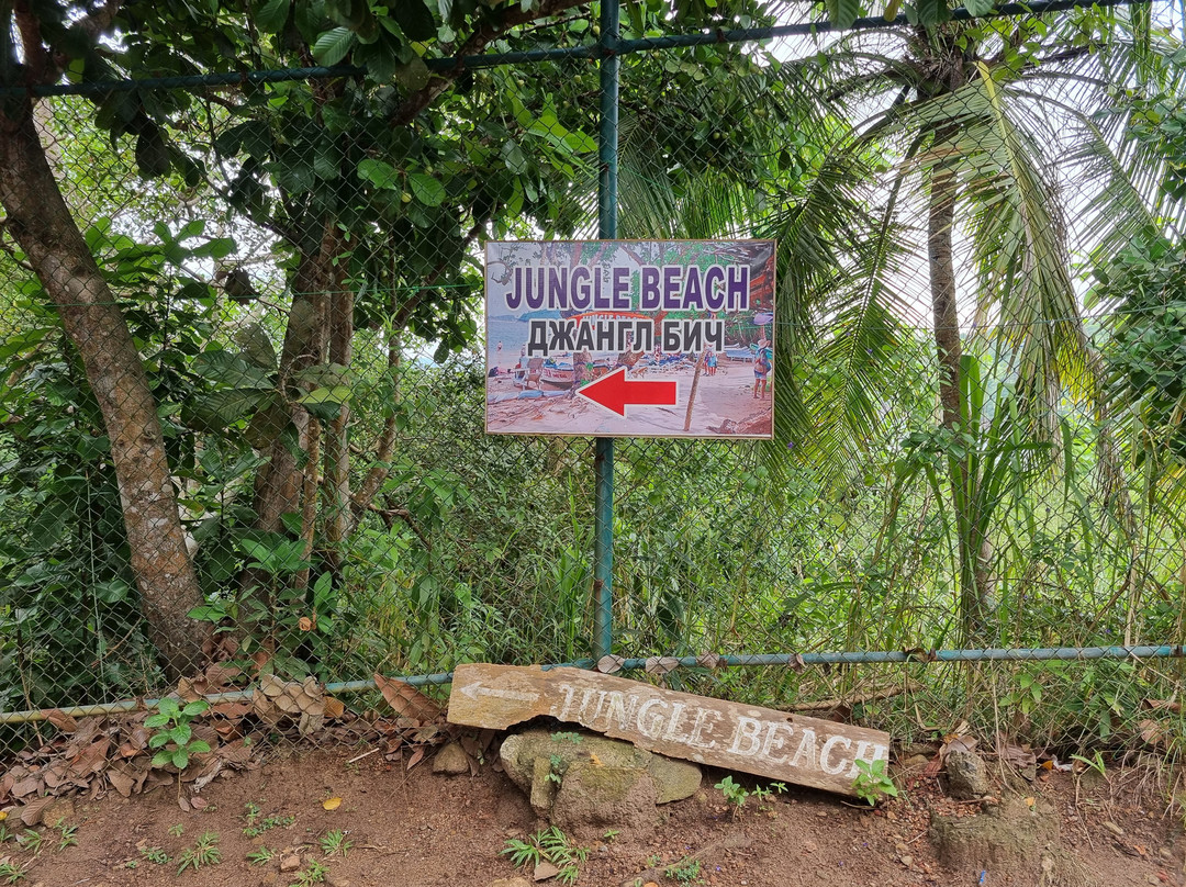 丛林海滩-乌纳瓦图纳必去景点