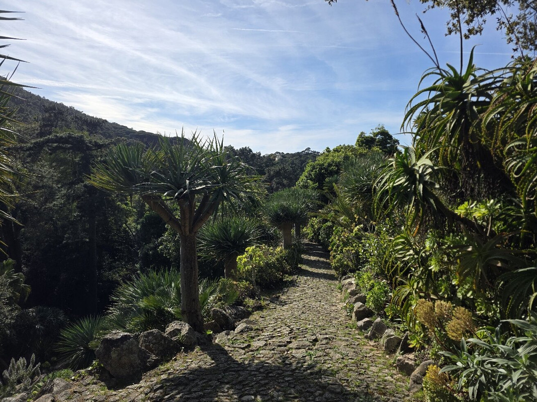 蒙塞拉特宫-辛特拉必去景点