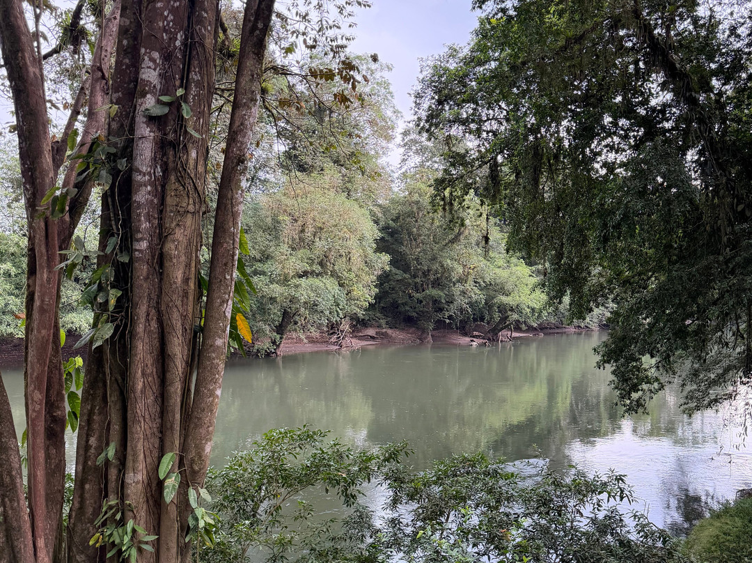 Rio Sarapiqui Lodge