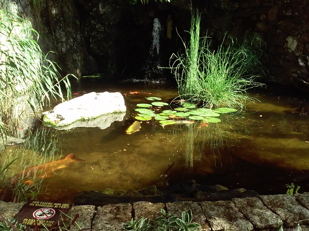 Cascata Del Ponale-里瓦德尔加尔达必去景点
