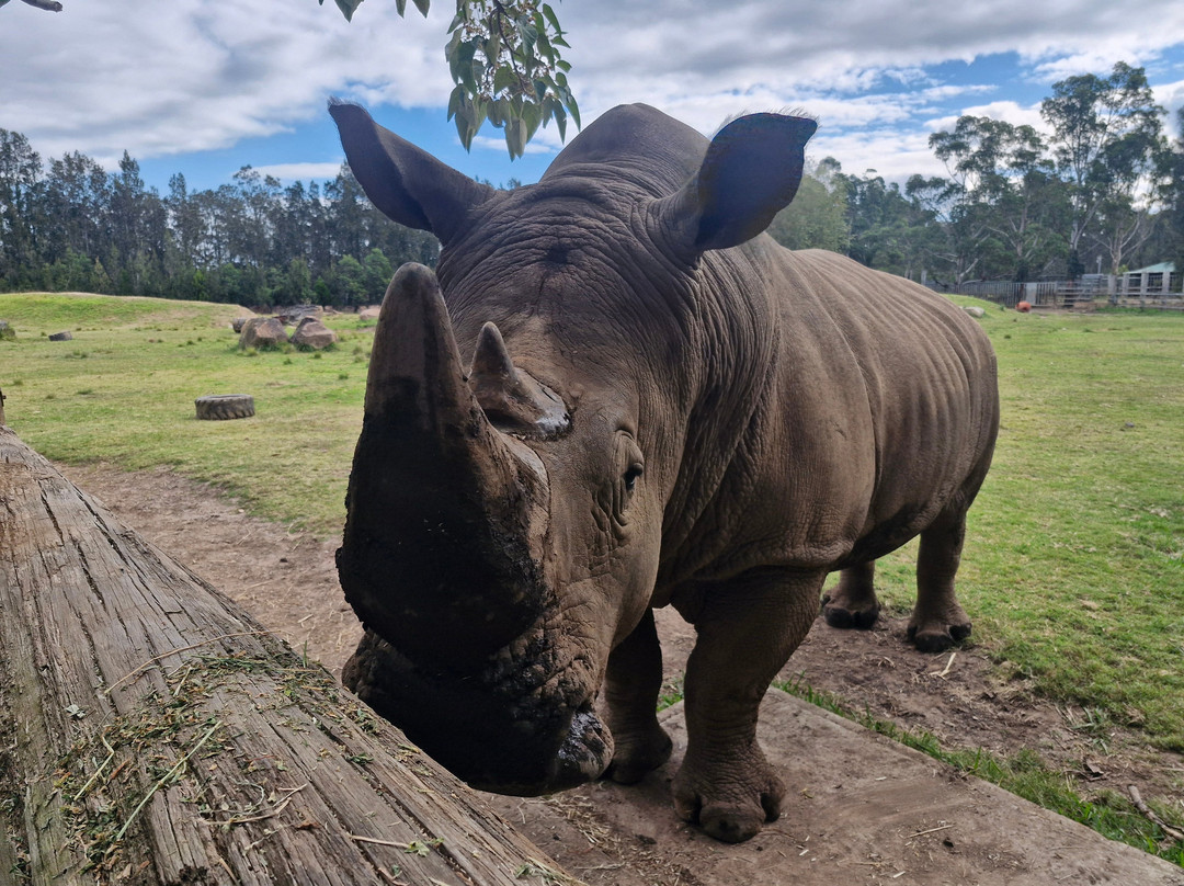 Mogo Wildlife Park-Mogo必去景点