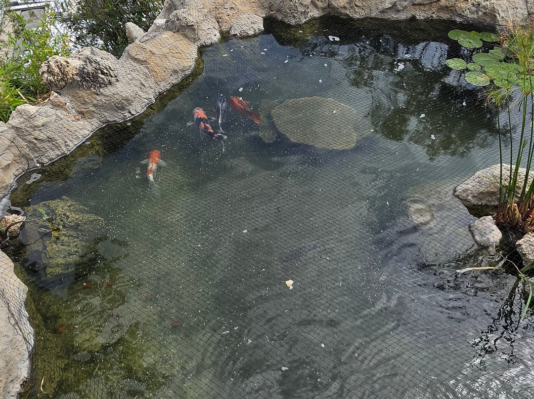 Jardin Exotique de Monaco-摩纳哥城必去景点