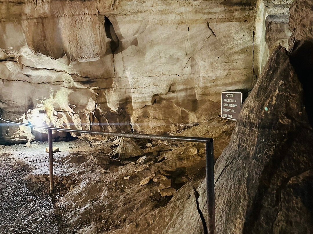 Rickwood Caverns State Park-Warrior必去景点