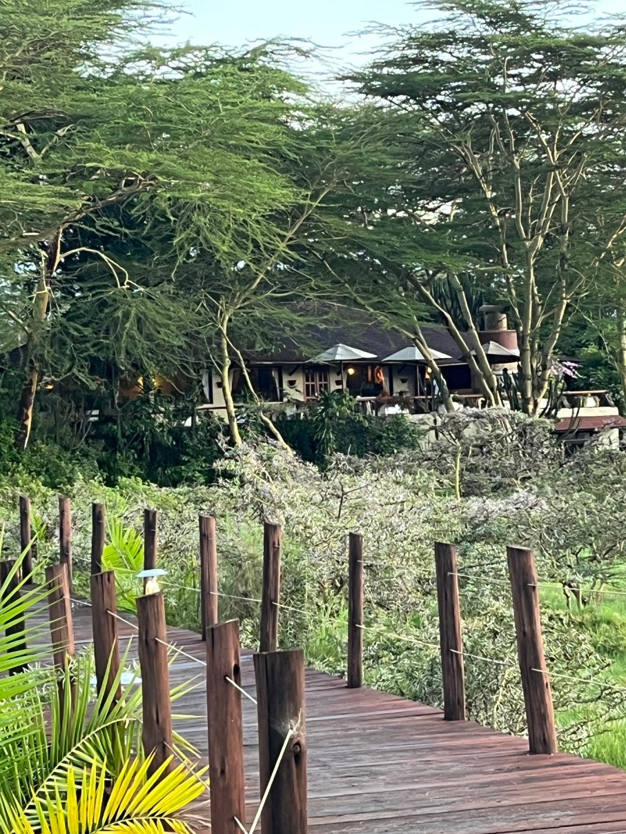 Hatari Lodge-旅行者