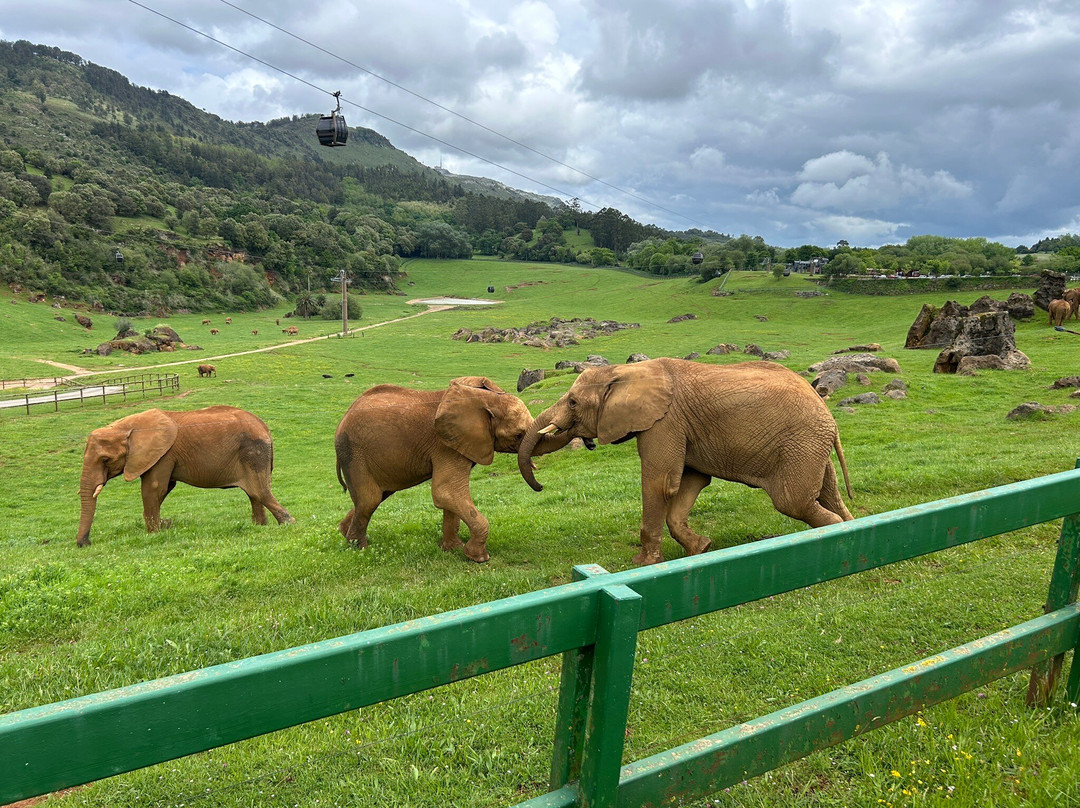 Parque de la Naturaleza de Cabarceno-Obregon必去景点