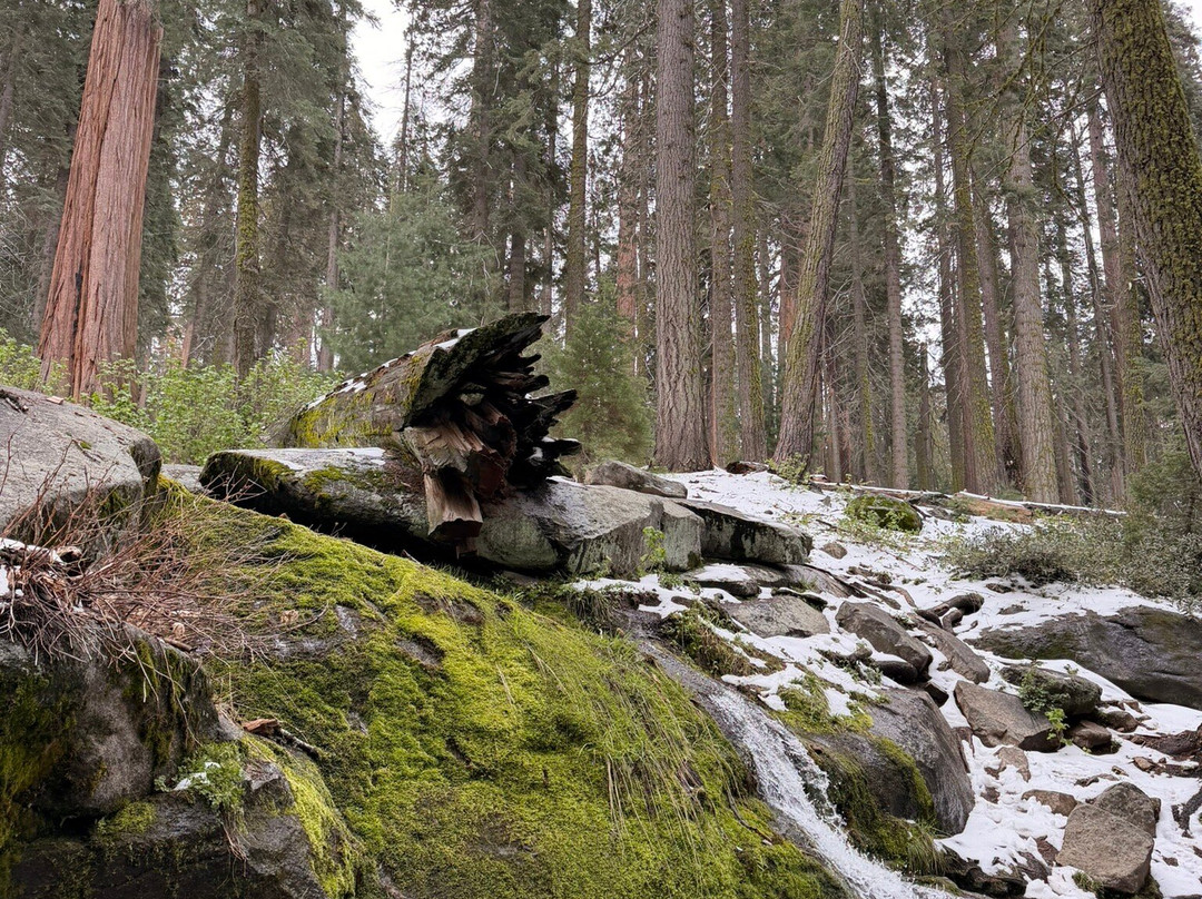 Sequoia and Kings Canyon National Parks-Three Rivers必去景点
