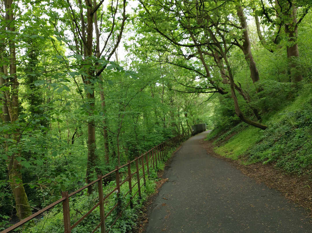 Kelvingrove Park-格拉斯哥必去景点