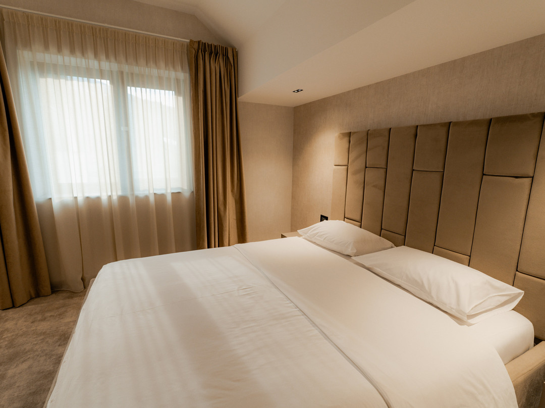 Hotel Roman Maramures - Ski & Spa Resort主图