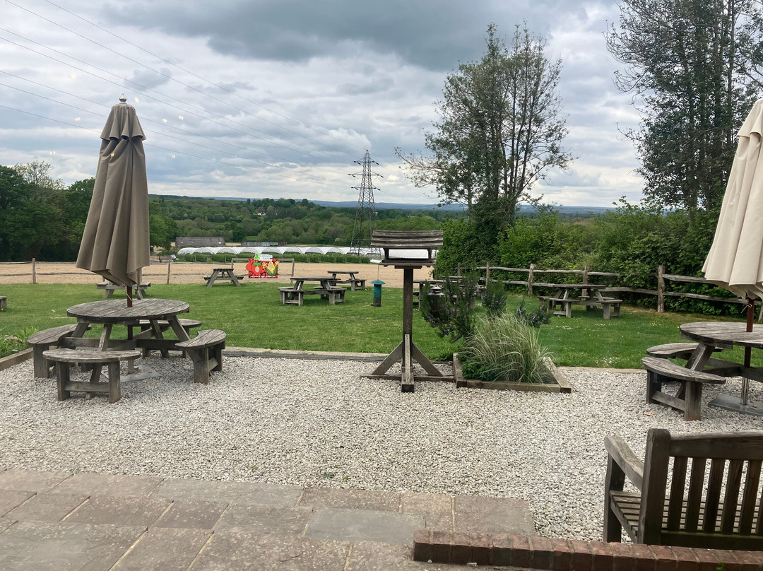 Lower Ladysden Farm-Goudhurst必去景点