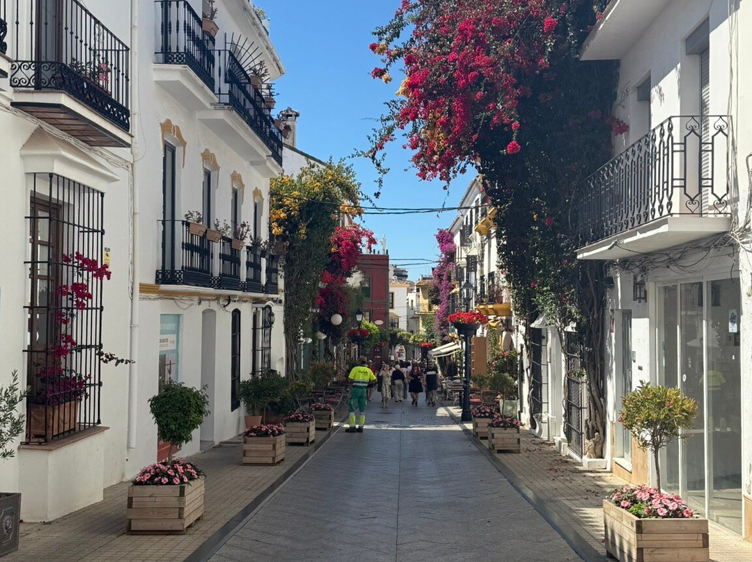 Club Med Magna Marbella - Andalusia主图