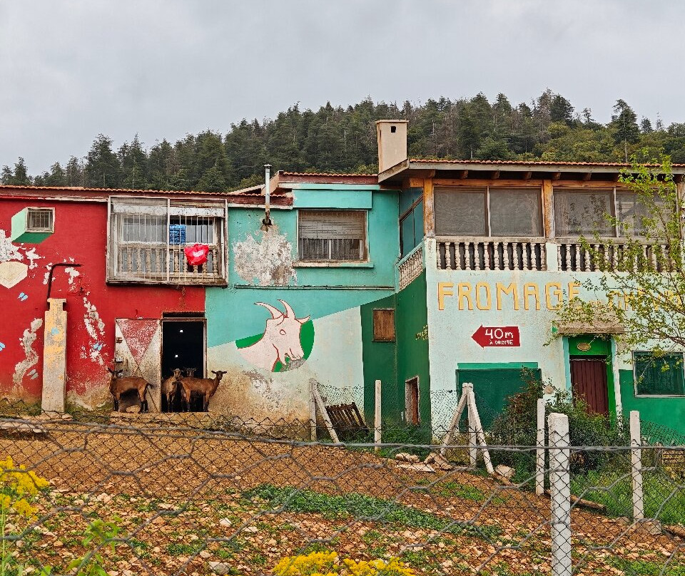 Ferme de Fromage Chèvre du Cedre Gouraud-Ifrane必去景点