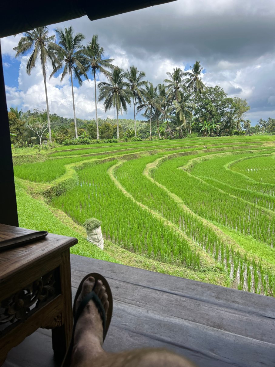 巴厘岛生态度假村-旅行者