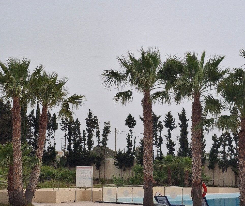 Nahrawess Resort & Thalasso主图