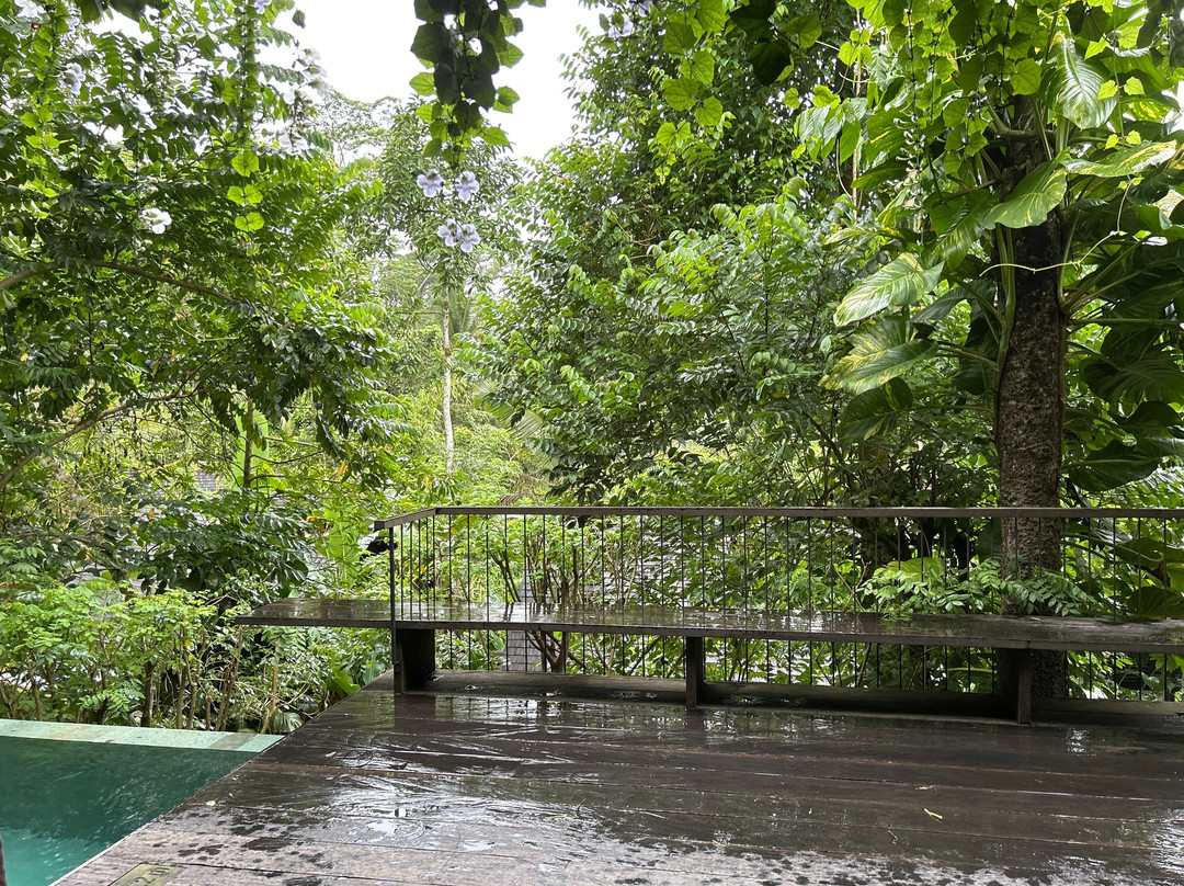 Hands of Sunitri: Authentic Balinese Massage