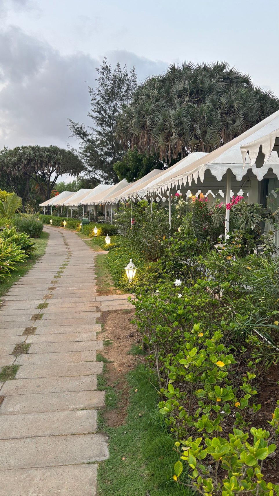 芬恩海滨豪华帐篷度假村-旅行者