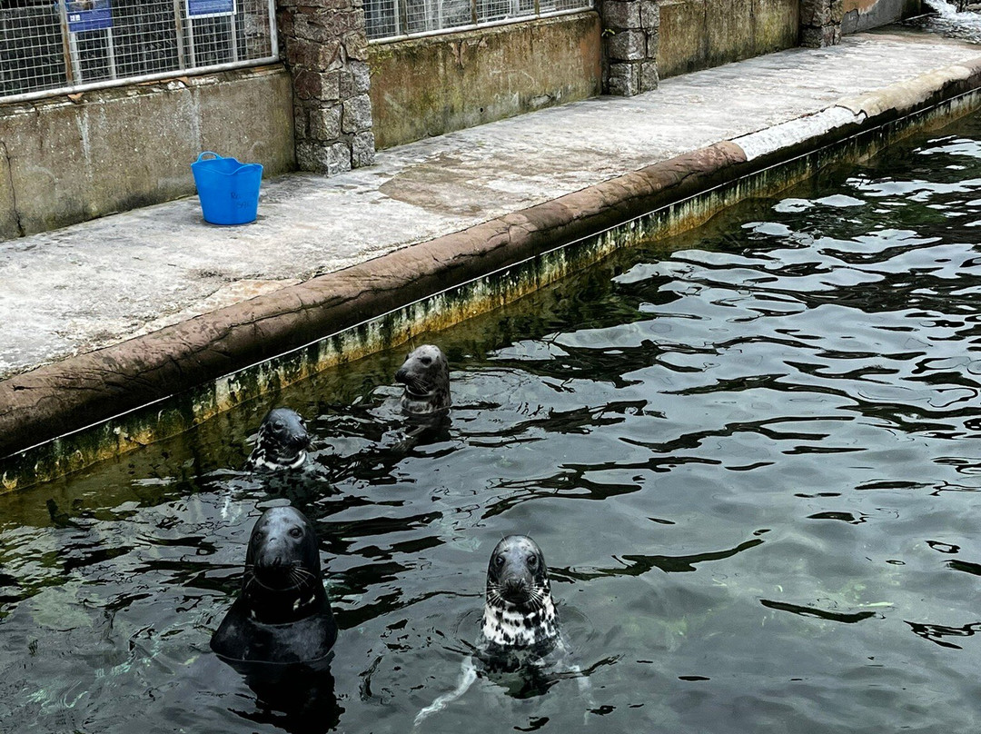 Cornish Seal Sanctuary-Gweek必去景点