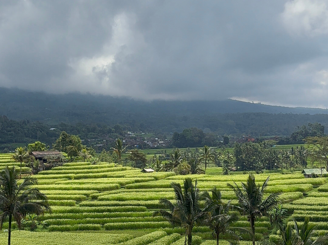 Bali Private Day Tour-Tanah Lot必去景点