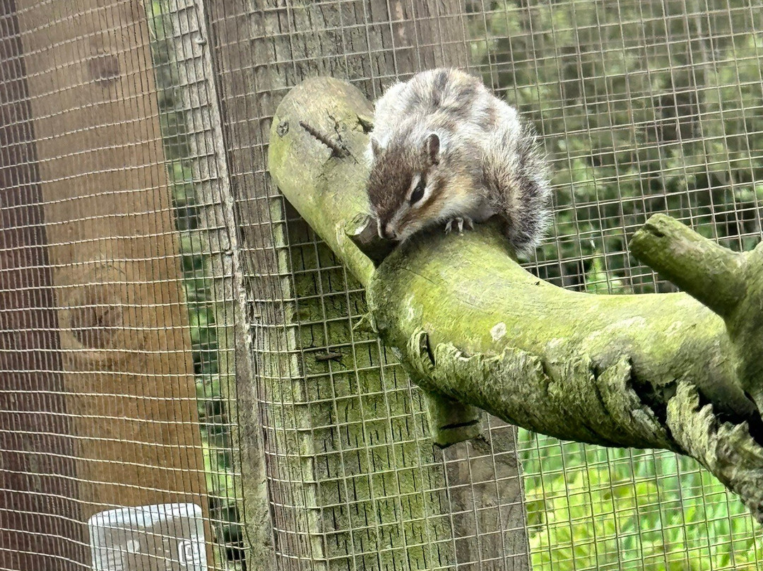 Filey Zoo-Filey必去景点