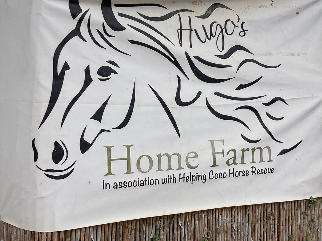 Hugo's Home Farm-穆尔西亚必去景点