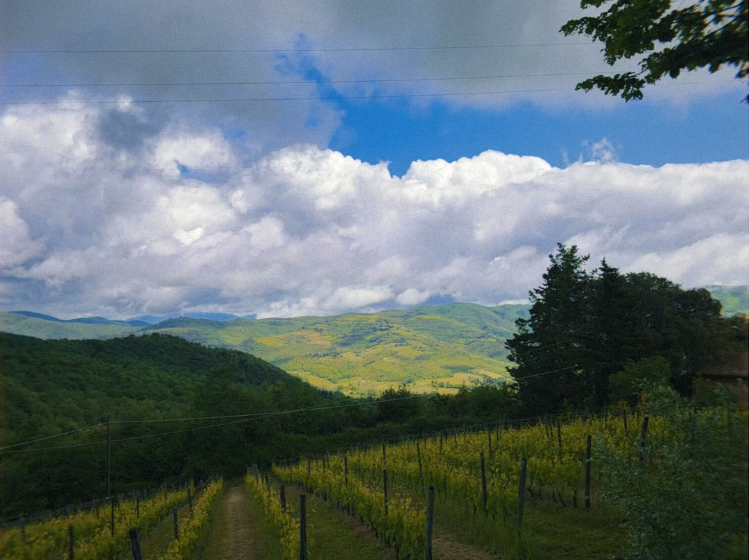 Podere Le Cinciole-Panzano in Chianti必去景点