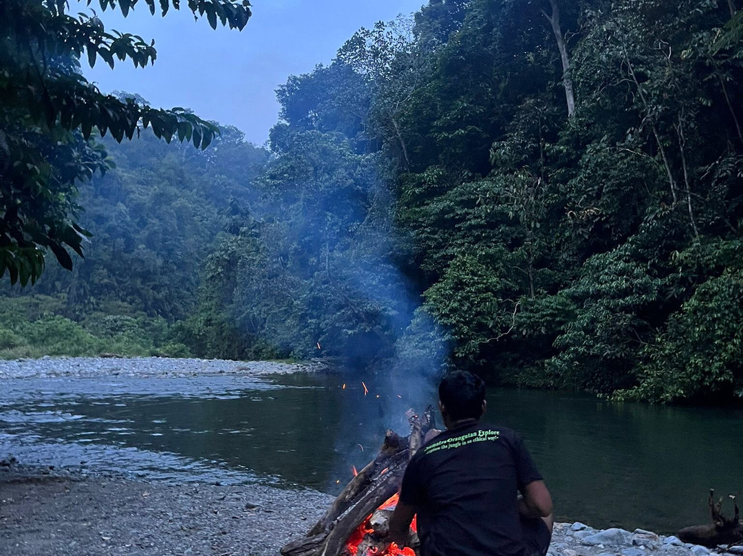 Sumatra Orangutan Explore-武吉拉旺必去景点