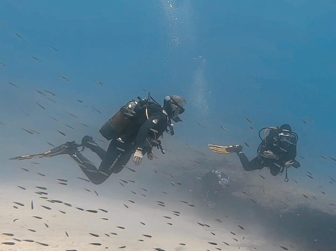 Cycladic Diving-Aliki必去景点