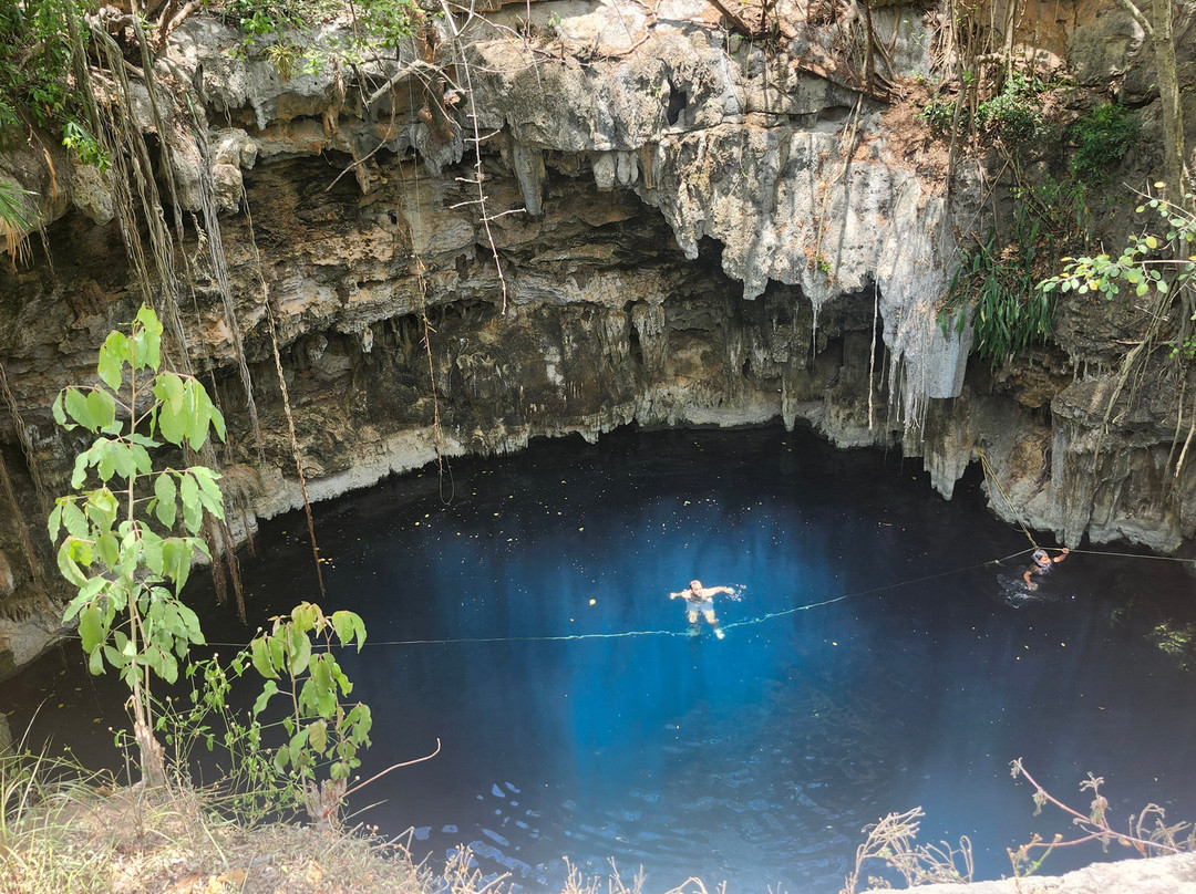 YucatanCenote .com Eco-Adventures-Progreso必去景点