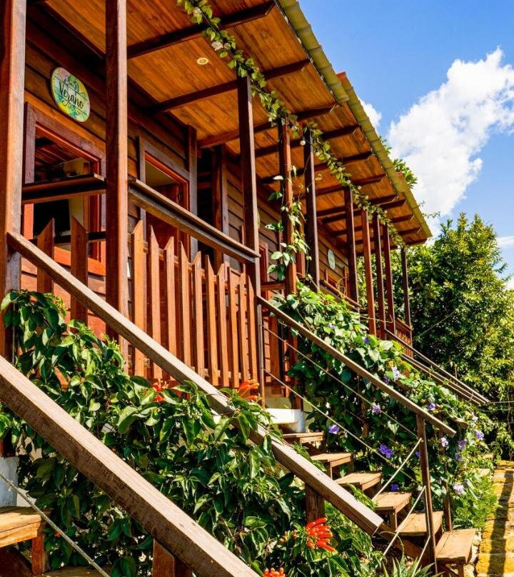 Ecodreamers Curiti
